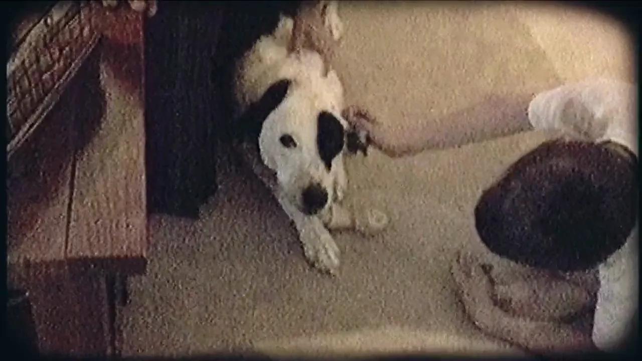 Griffey as a young dog, home video from 2005