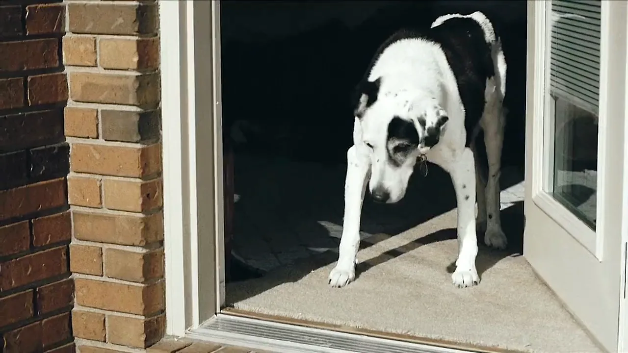 Griffey standing in the open doorway, backlit by the afternoon sun